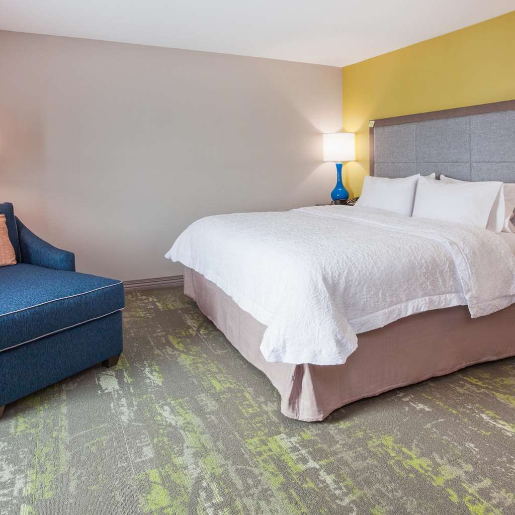 Hampton Inn & Suites Sioux City South, Ia Номер фото
